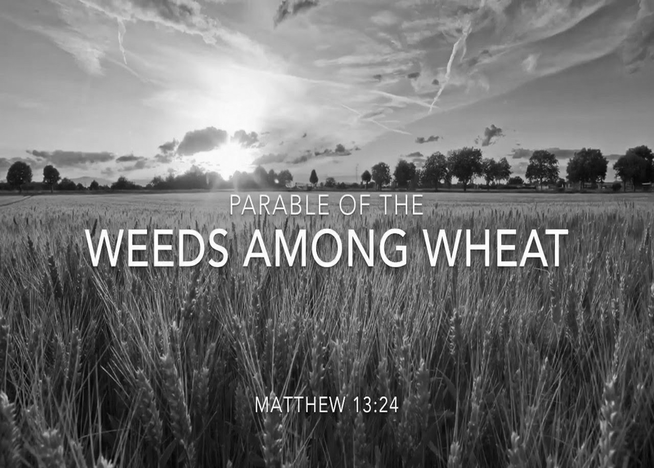 Join us for worship Sunday, July 19th, 2026.